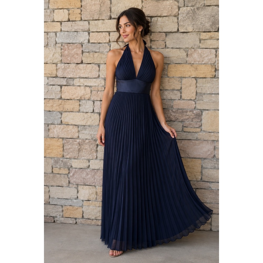 Betsy & Adam Womens 4 Maxi Dress Black Pleated Halter Neck Formal Evening Gown